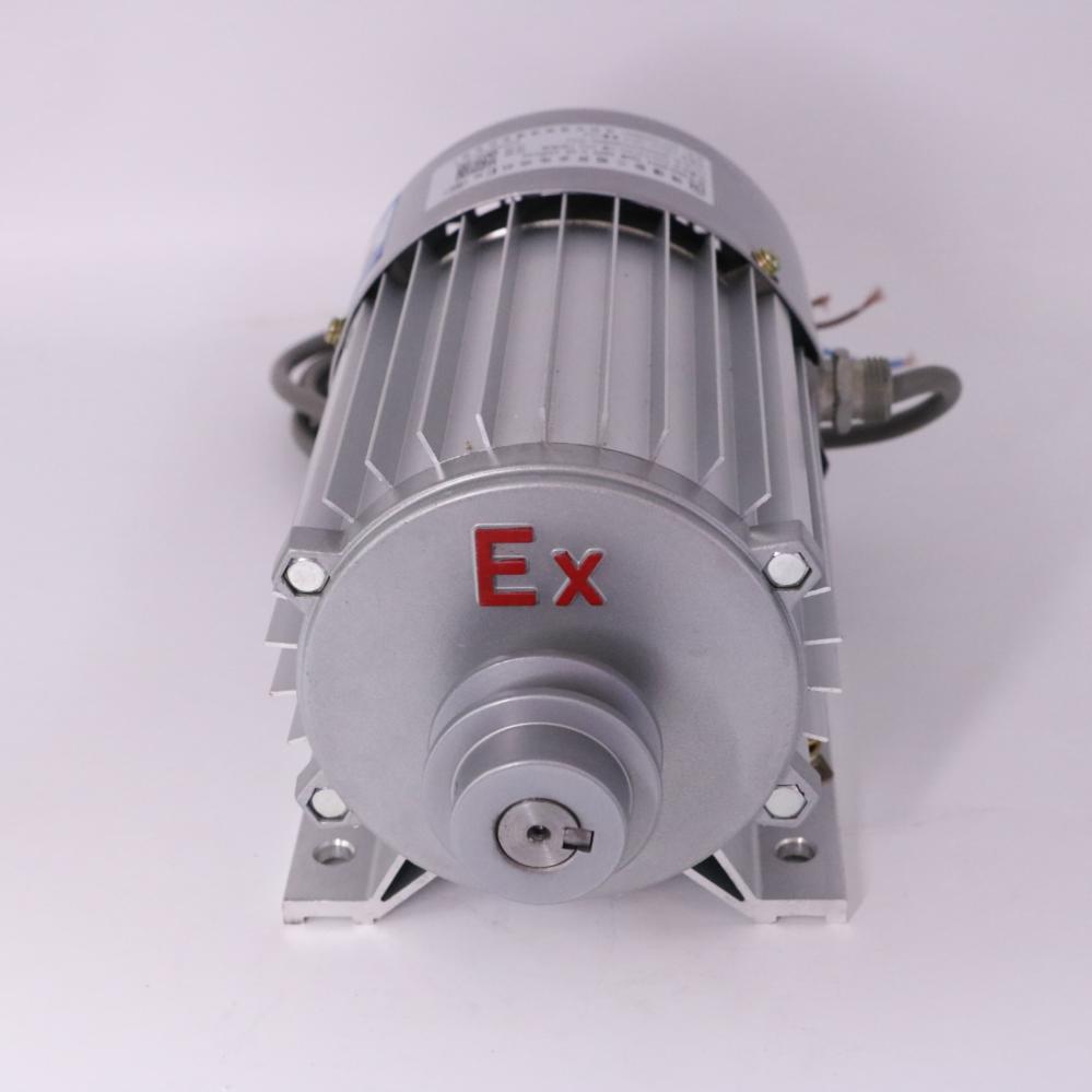 Explosion-proof motor